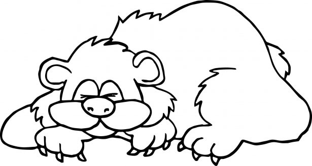 Sleeping Animals Coloring Pages Sleeping Bear Coloring Page Free Animals Pages Cat Puppy Colouring Horse Tures