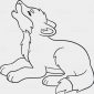 Animal Jam Wolf Coloring Pages Animal Jam Arctic Wolf Coloring Pages Free Pup Great Lodge Pack Cool For Head