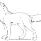 Animal Jam Wolf Coloring Pages Animal Jam Arctic Wolf Coloring Pages Free Pup Great Lodge Pack Cool For Head